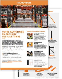 Damotech flyer french