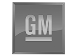 General Motors (GM) Logo - Damotech Client