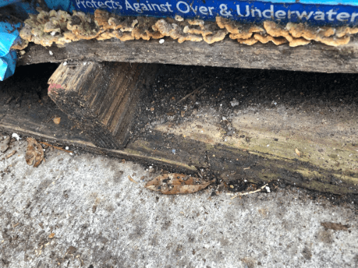 Damaged outside pallets due to rain accumulation
