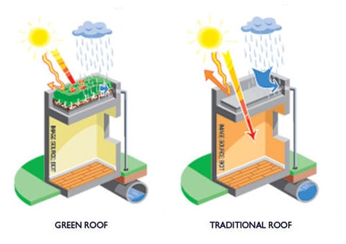 Roof types